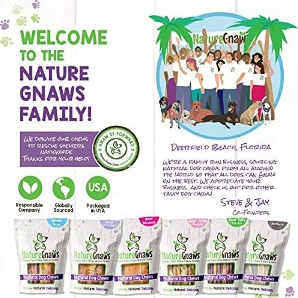 612O9vt6YtS._AC_.jpg Nature Gnaws Variety Pack of Dog Chews and Bully Sticks - Long Lasting Gnaw Treats Bag for Puppies and Active Dogs - Natural and Rawhide Free Bones