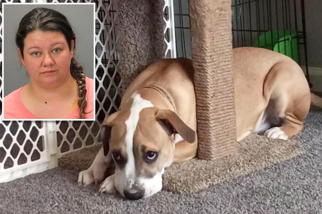Woman charged with performing sex act on her dog after ex-boyfriend finds disturbing footage
