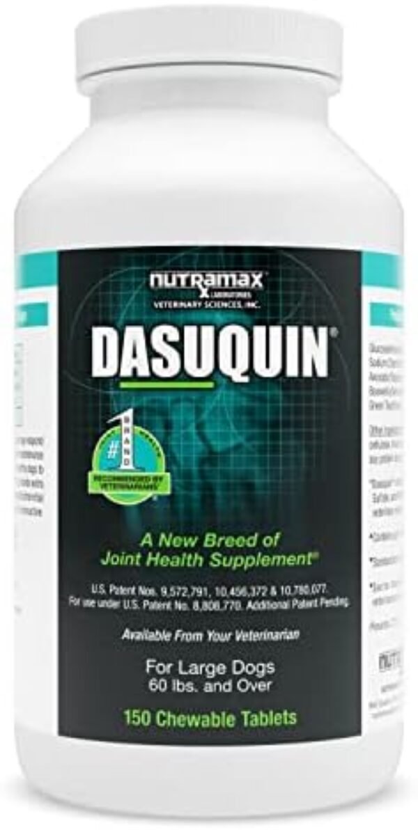 Nutramax Dasuquin Joint Health Supplement for Large Dogs - With dog supplements for joints