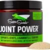 Super Snouts Joint Power 100% Green Lipped Mussels for Dogs dog supplements for joints