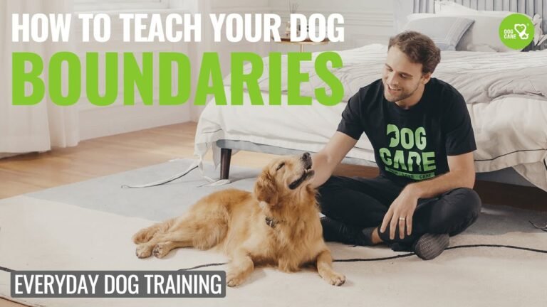 Barky Supplies Expert Tips How to Teach your Dog Boundaries! Episode 3 #dogcare #dogtraining #trainingcollar 1694932936 maxresdefault Barky Supplies Expert Tips