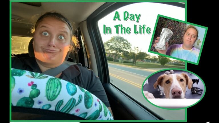 Barky Supplies Expert Tips Day in the Life - Dog Daycare, Organizing, Morning Routine 1695510526 maxresdefault Barky Supplies Expert Tips