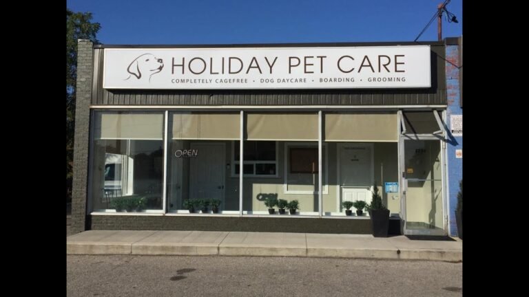 Barky Supplies Expert Tips Tour our Cagefree Boarding and Dog Daycare Centre 1695546607 maxresdefault Barky Supplies Expert Tips