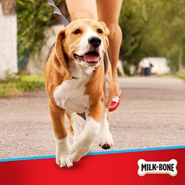 418ZZgAn5jL._AC_.jpg Milk-Bone Hip & Joint Dog Supplement, 60 Soft Chews