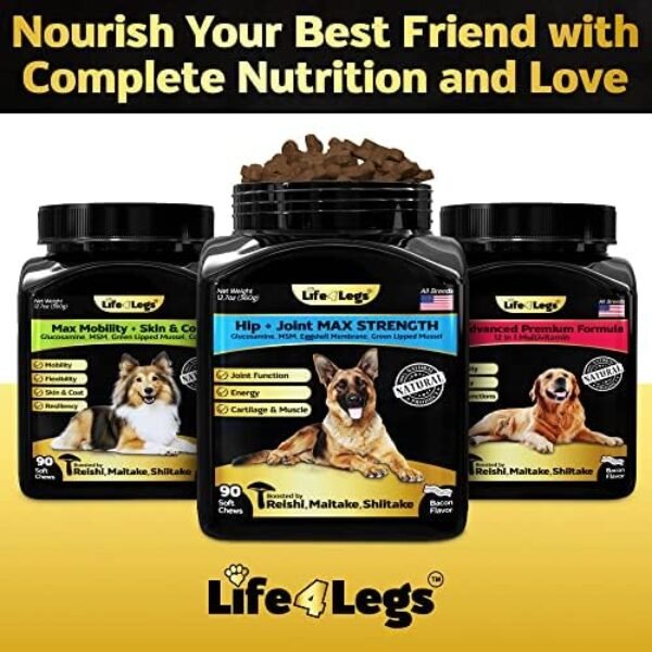 5183Mh8Jy-L._AC_.jpg Life4Legs - Soft Chews Hip and Joint Supplement for Dogs - Ultimate Relief Treats