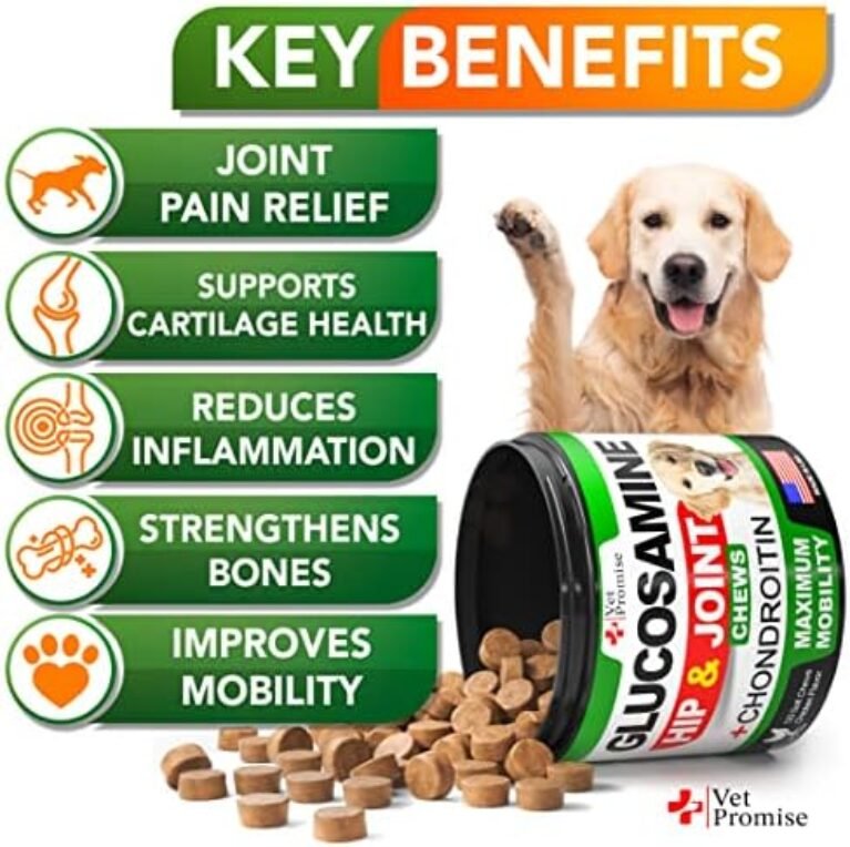 51C7hPsRVOL._AC_.jpg Joint Health Marvel: Best Glucosamine & Chondroitin Dog Chews