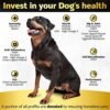 51IqbWVqNeL._AC_.jpg Life4Legs - Soft Chews Hip and Joint Supplement for Dogs - Ultimate Relief Treats
