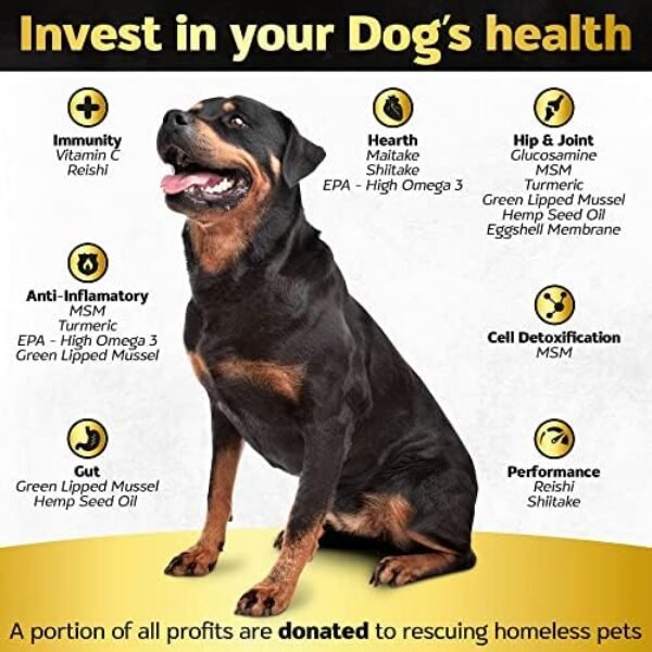 51IqbWVqNeL._AC_.jpg Life4Legs - Soft Chews Hip and Joint Supplement for Dogs - Ultimate Relief Treats