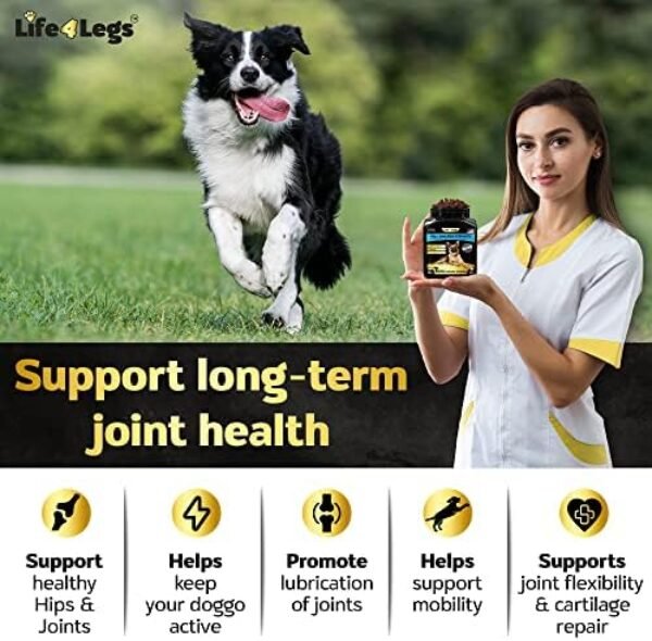 51K1FN5FjzL._AC_.jpg Life4Legs - Soft Chews Hip and Joint Supplement for Dogs - Ultimate Relief Treats