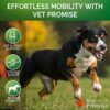 Joint Health Marvel: Best Glucosamine & Chondroitin Dog Chews - Image 4