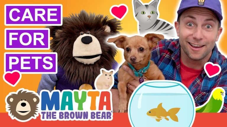 Barky Supplies Expert Tips Teaching Kids to Care for Pets | Videos for Toddlers 1696666419 maxresdefault Barky Supplies Expert Tips