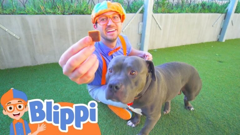 Barky Supplies Expert Tips Blippi Learns About Animals For Kids At The Animal Shelter | Educational Videos For Toddlers 1696702451 maxresdefault Barky Supplies Expert Tips