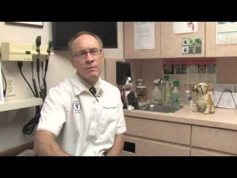 Barky Supplies Expert Tips Nurturing Expectations: How to Care for a Pregnant Dog 1696846872 hqdefault Barky Supplies Expert Tips