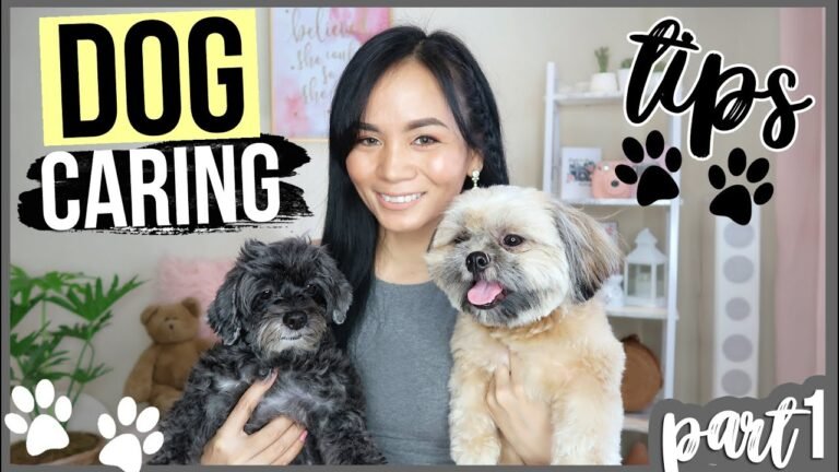 Barky Supplies Expert Tips Spoil Your Pup! Happy Dog Hacks & Training Tips Happy Dog Hacks & Tips