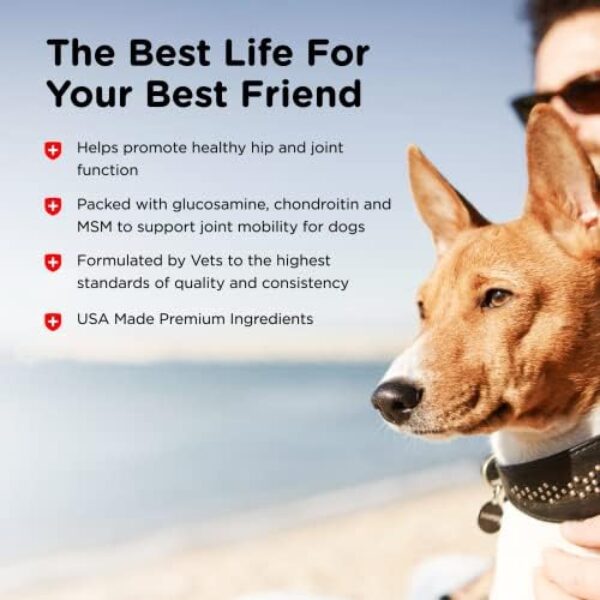 414kQ8oA25L._AC_.jpg Nutri-Vet Hip & Joint Chewable Dog Supplements | Formulated with Glucosamine & Chondroitin for Dogs | 120 Count