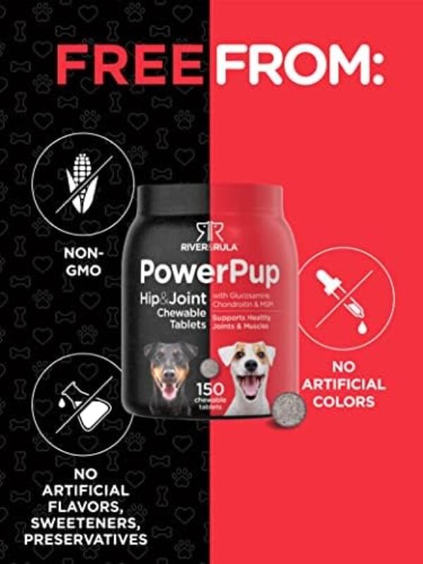 41D3R1XgKvL._AC_.jpg Glucosamine for Dogs | 150 Chews | Hip and Joint Supplement for Dogs | Glucosamine, Chondroitin, MSM, Turmeric and More | Non-GMO & Gluten Free