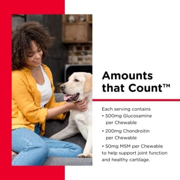 41JnqEVRRfL._AC_.jpg Nutri-Vet Hip & Joint Chewable Dog Supplements | Formulated with Glucosamine & Chondroitin for Dogs | 120 Count