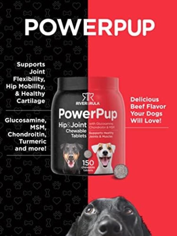 41qnKy220QL._AC_.jpg Glucosamine for Dogs | 150 Chews | Hip and Joint Supplement for Dogs | Glucosamine, Chondroitin, MSM, Turmeric and More | Non-GMO & Gluten Free