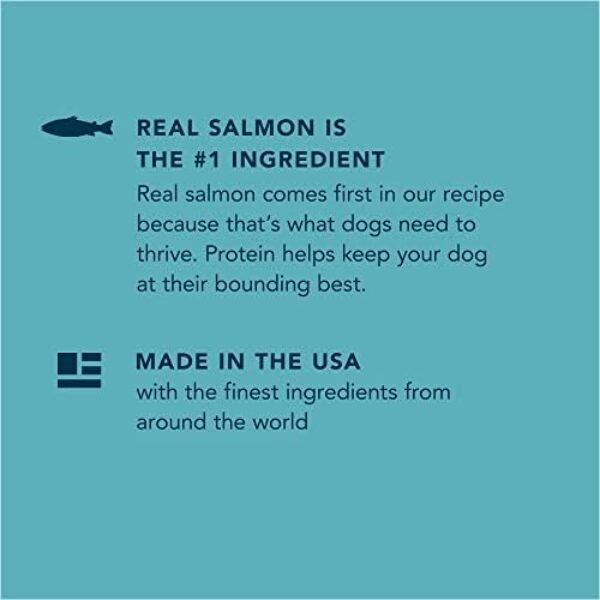 41xPvajDFwL._AC_.jpg Amazon Brand – Wag Dry Dog Food, Salmon and Brown Rice, 30 lb Bag (Packaging May Vary)