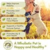 515RGpfxKdL._AC_.jpg Wholistic Pet Organics - Dog Joint Supplement: Joint Mobility with Green Lipped Mussel - 1 Lb - Dogs Hip and Joint Support Supplement - Glucosamine Chondroitin for Dogs with MSM, Vitamins & Minerals