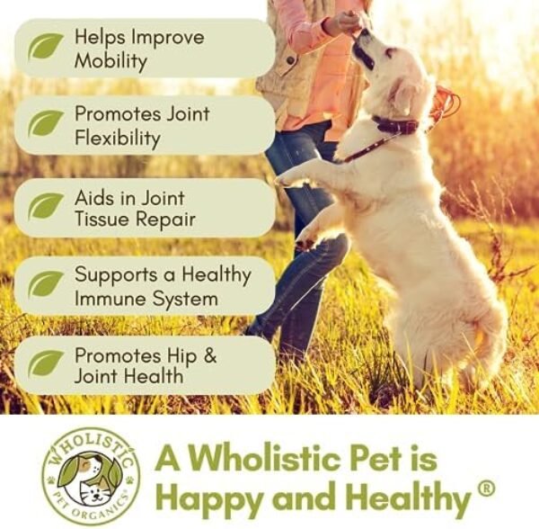515RGpfxKdL._AC_.jpg Wholistic Pet Organics - Dog Joint Supplement: Joint Mobility with Green Lipped Mussel - 1 Lb - Dogs Hip and Joint Support Supplement - Glucosamine Chondroitin for Dogs with MSM, Vitamins & Minerals