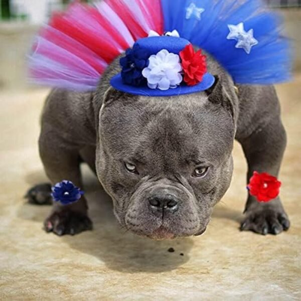 51JrYEJ221L._AC_.jpg Pet Independence Day Hat Puff Skirt - 4th of July Pet Cute Dress up Supplies - Red and Blue Flower Design Dog Hat Scarf Flower Necklace, Sparkling Pet Bowtie