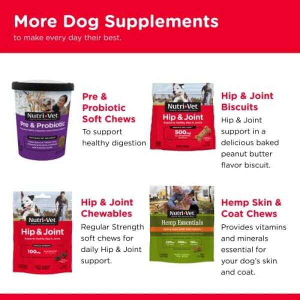 51OEzomzrTL._AC_.jpg Nutri-Vet Hip & Joint Chewable Dog Supplements | Formulated with Glucosamine & Chondroitin for Dogs | 120 Count