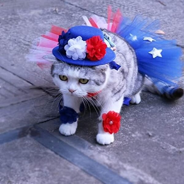 51TkXYWJ7oL._AC_.jpg Pet Independence Day Hat Puff Skirt - 4th of July Pet Cute Dress up Supplies - Red and Blue Flower Design Dog Hat Scarf Flower Necklace, Sparkling Pet Bowtie