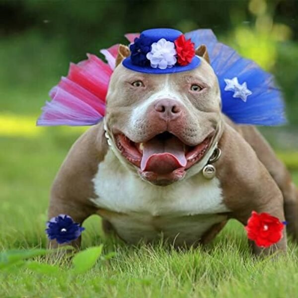 51YWu44P4YL._AC_.jpg Pet Independence Day Hat Puff Skirt - 4th of July Pet Cute Dress up Supplies - Red and Blue Flower Design Dog Hat Scarf Flower Necklace, Sparkling Pet Bowtie