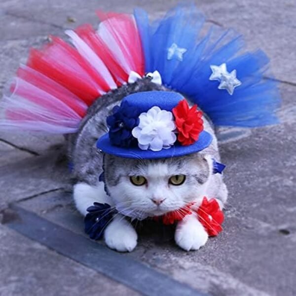 51fnB7JRdlL._AC_.jpg Pet Independence Day Hat Puff Skirt - 4th of July Pet Cute Dress up Supplies - Red and Blue Flower Design Dog Hat Scarf Flower Necklace, Sparkling Pet Bowtie