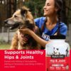 51kdDSE5BSL._AC_.jpg Nutri-Vet Hip & Joint Chewable Dog Supplements | Formulated with Glucosamine & Chondroitin for Dogs | 120 Count