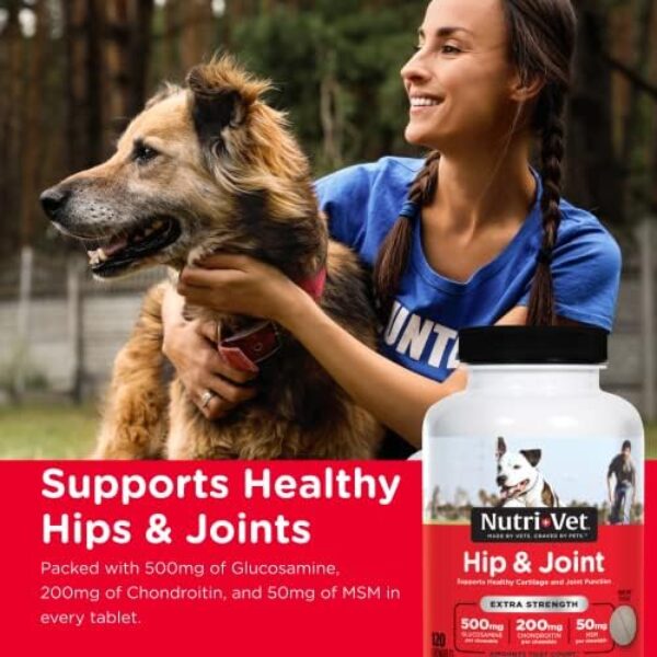 51kdDSE5BSL._AC_.jpg Nutri-Vet Hip & Joint Chewable Dog Supplements | Formulated with Glucosamine & Chondroitin for Dogs | 120 Count