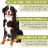 51oy-HeMdtL._AC_.jpg Wholistic Pet Organics - Dog Joint Supplement: Joint Mobility with Green Lipped Mussel - 1 Lb - Dogs Hip and Joint Support Supplement - Glucosamine Chondroitin for Dogs with MSM, Vitamins & Minerals