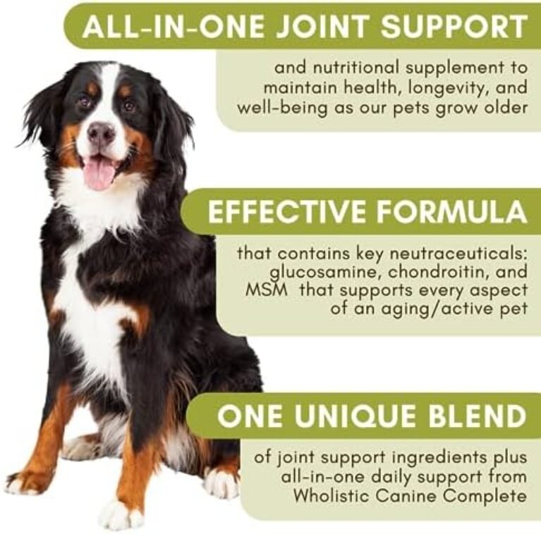 51oy-HeMdtL._AC_.jpg Wholistic Pet Organics - Dog Joint Supplement: Joint Mobility with Green Lipped Mussel - 1 Lb - Dogs Hip and Joint Support Supplement - Glucosamine Chondroitin for Dogs with MSM, Vitamins & Minerals