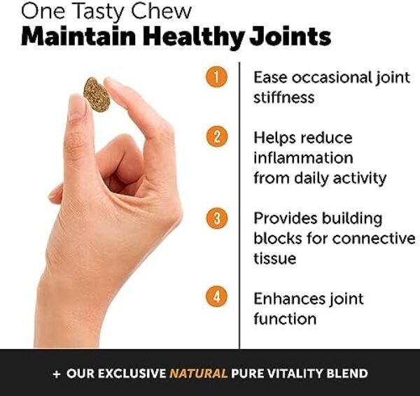 51pSFOxVDEL._AC_.jpg Pet Honesty Hemp Hip & Joint Supplement for Dogs - Hemp Oil & Hemp Powder - Glucosamine Chondroitin for Dogs, Turmeric, MSM, Green-Lipped Mussel, Supports Mobility, May Reduce Discomfort (Duck)