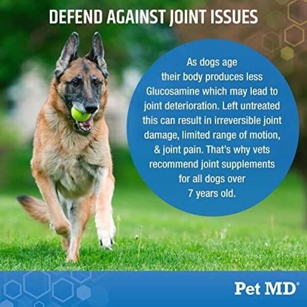 51zM1M24JeL._AC_.jpg Pet MD Glucosamine for Dogs | Dog Joint Supplement with Glucosamine, Chondroitin & MSM - Inflammatory Pain Relief Chews for Hip & Joints - Bacon Flavored - Includes Yucca & Turmeric - 120 Ct