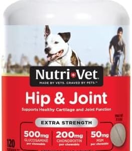 dog supplements for joints