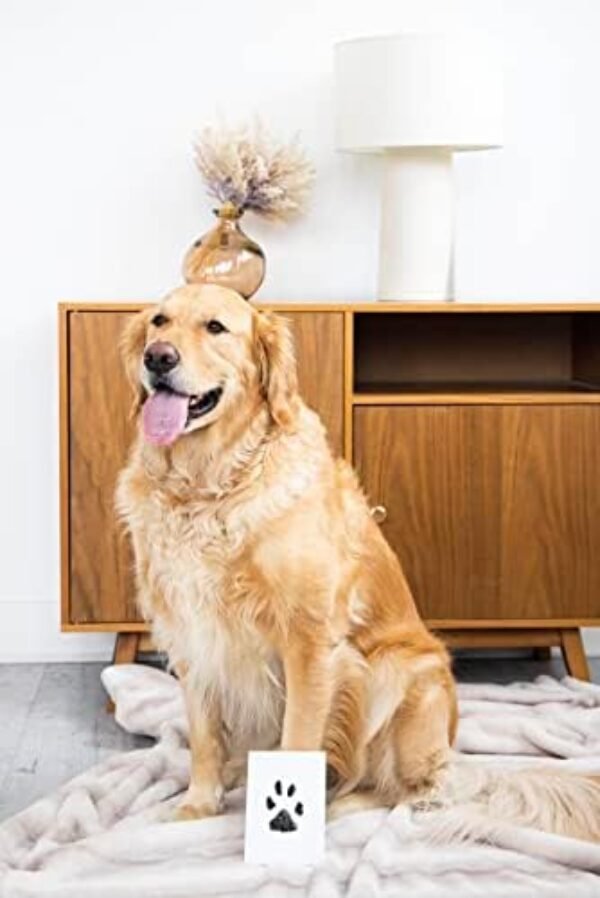 41FP4JLLF9L._AC_.jpg Pearhead Pet Clean-Touch Ink Pad, Medium/Large, Black Ink Pad for Cats or Dogs, Pet Owner, Pet Owner Must Have Item, Pet Memory Keepsake, for Medium to Large Pets