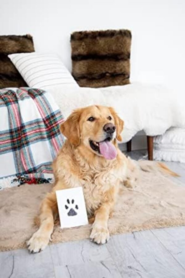 41ff7yfAwBL._AC_.jpg Pearhead Pet Clean-Touch Ink Pad, Medium/Large, Black Ink Pad for Cats or Dogs, Pet Owner, Pet Owner Must Have Item, Pet Memory Keepsake, for Medium to Large Pets