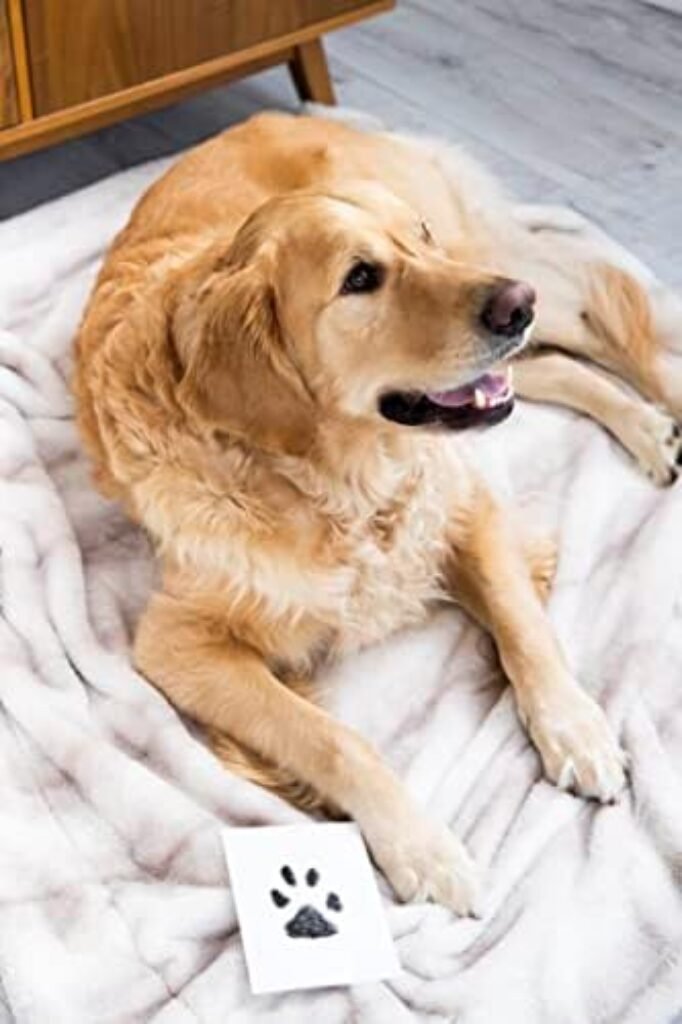 41haAUZruGL._AC_.jpg Pearhead Pet Clean-Touch Ink Pad, Medium/Large, Black Ink Pad for Cats or Dogs, Pet Owner, Pet Owner Must Have Item, Pet Memory Keepsake, for Medium to Large Pets