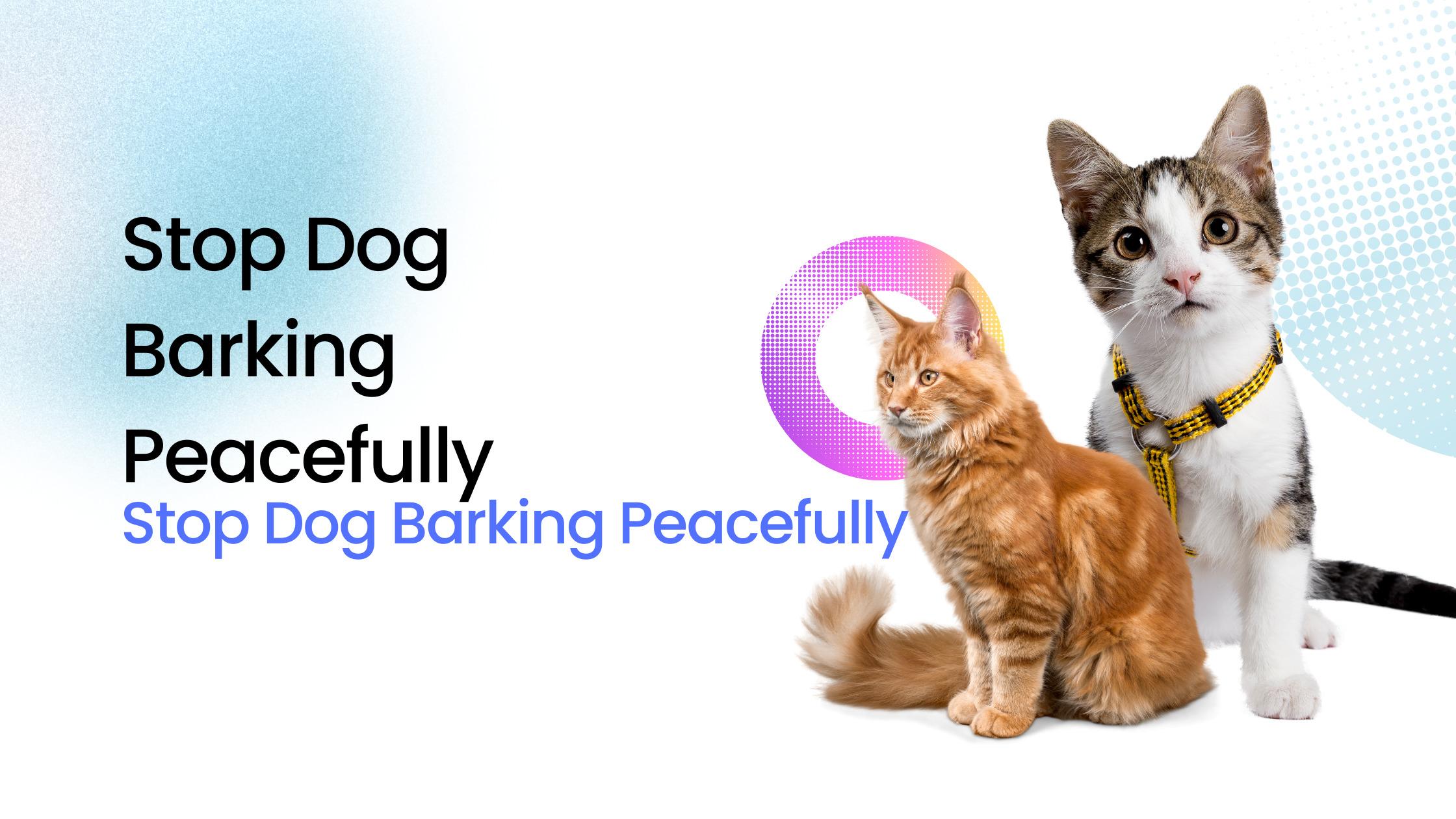 Stop Dog Barking: Silence, Please! Tips for Peaceful Living