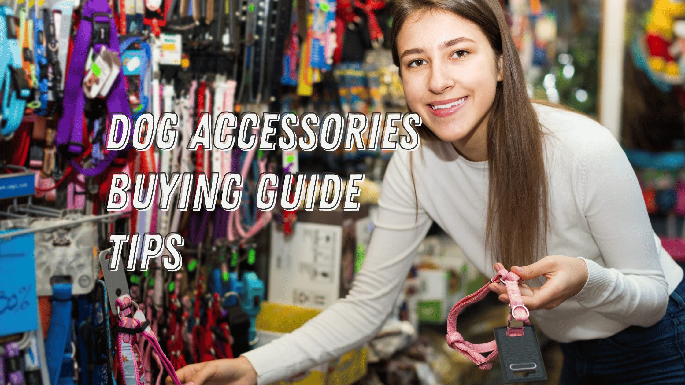 Dog Accessories Buying Guide Tips
