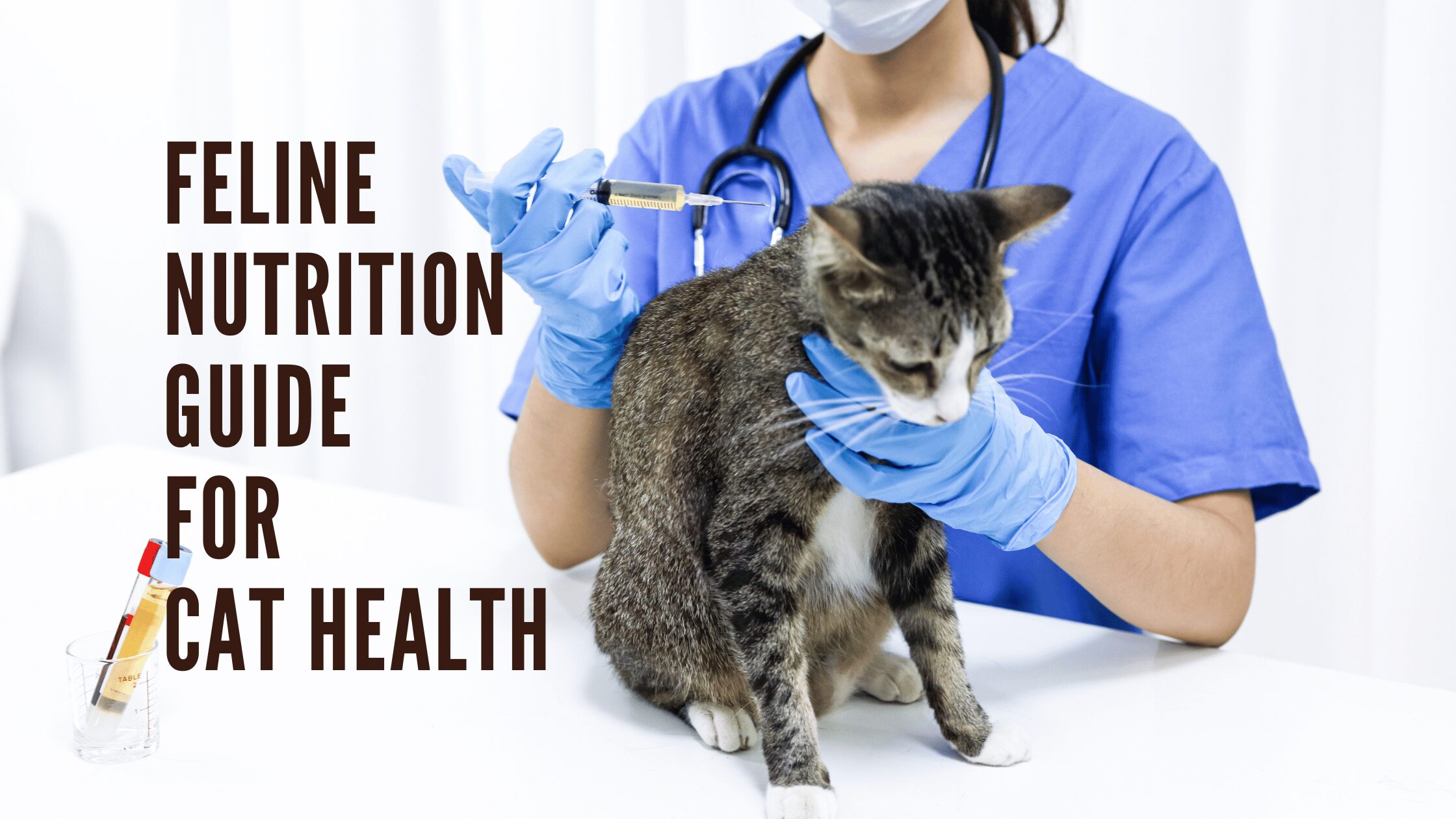 Feline Nutrition Guide for Cat Health