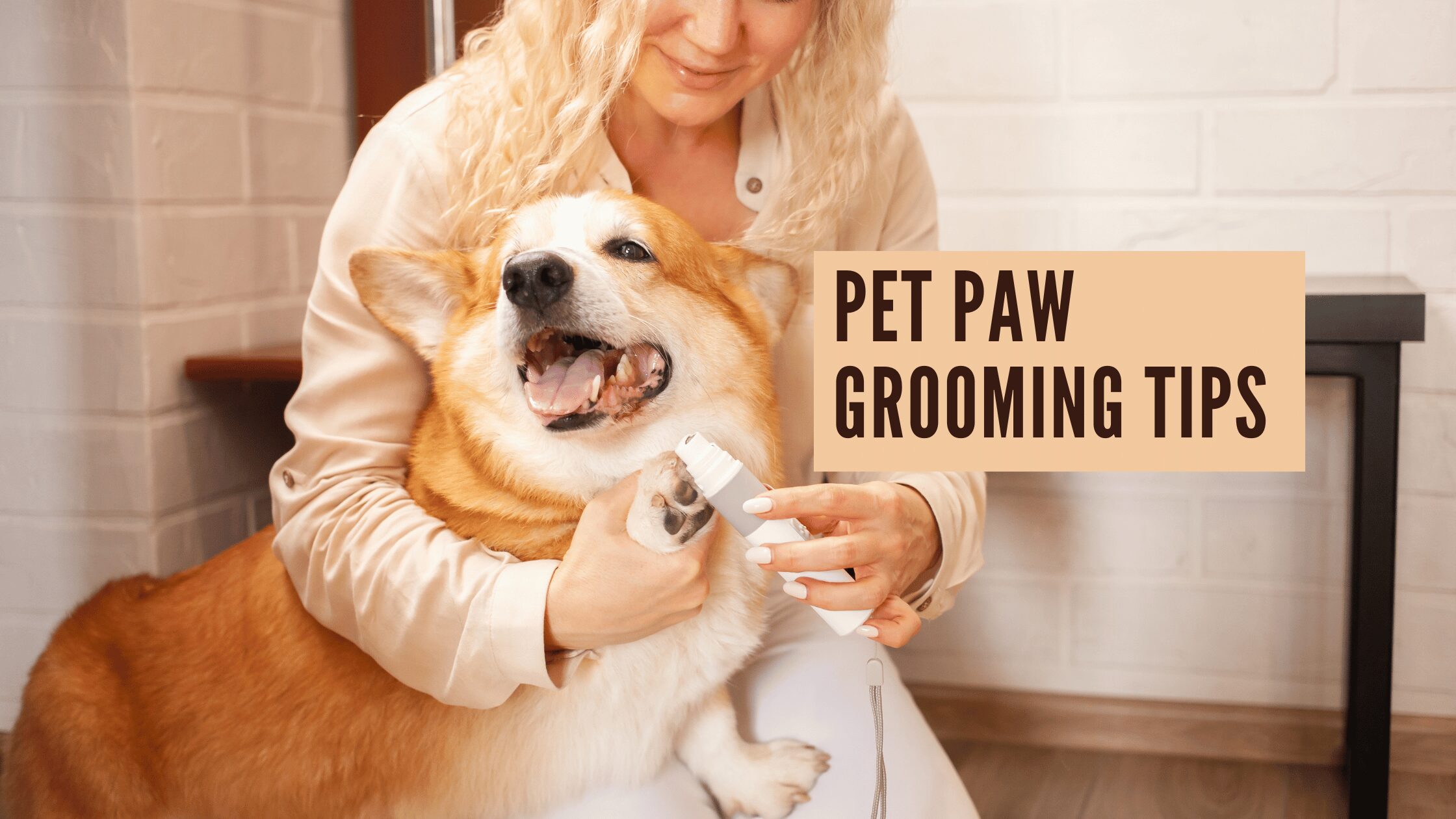 Pet Paw Grooming Tips – Ultimate Guide for Pet Owners