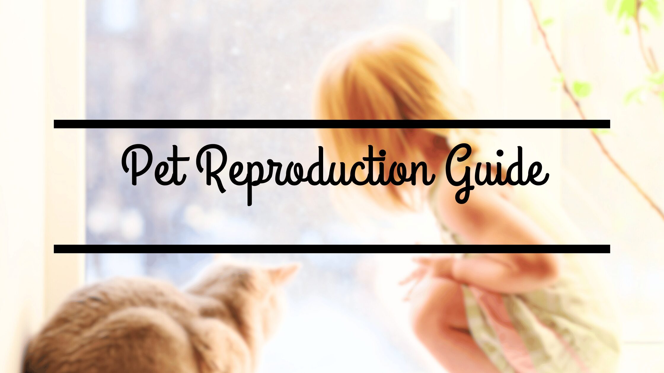 Pet Reproduction Guide: Comprehensive Canine & Feline Insights