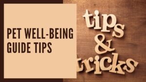 Discover 10 effective tips in our pet well-being guide for a happier, healthier life. Ensure your pet's well-being with expert advice and practical solutions.