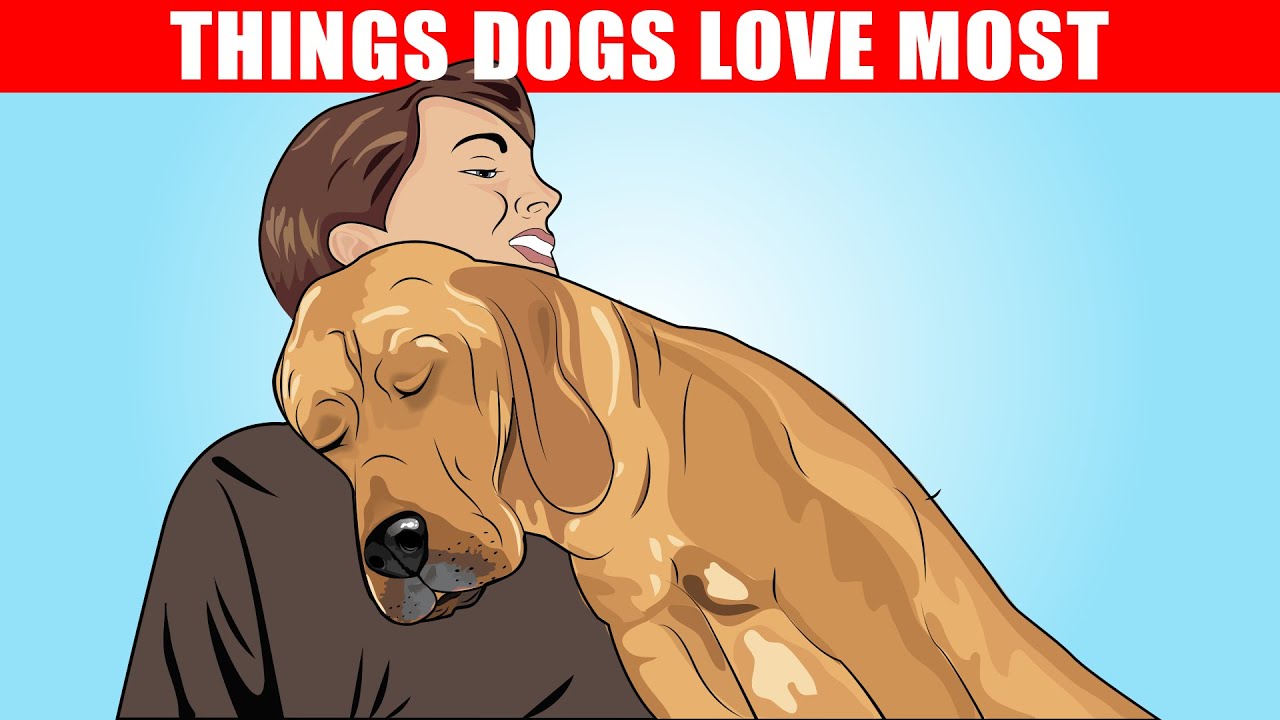 15 Things Dogs Love: From Belly Rubs to Fetch