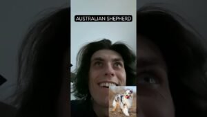 1704951371 maxresdefault Barky Supplies Expert Tips