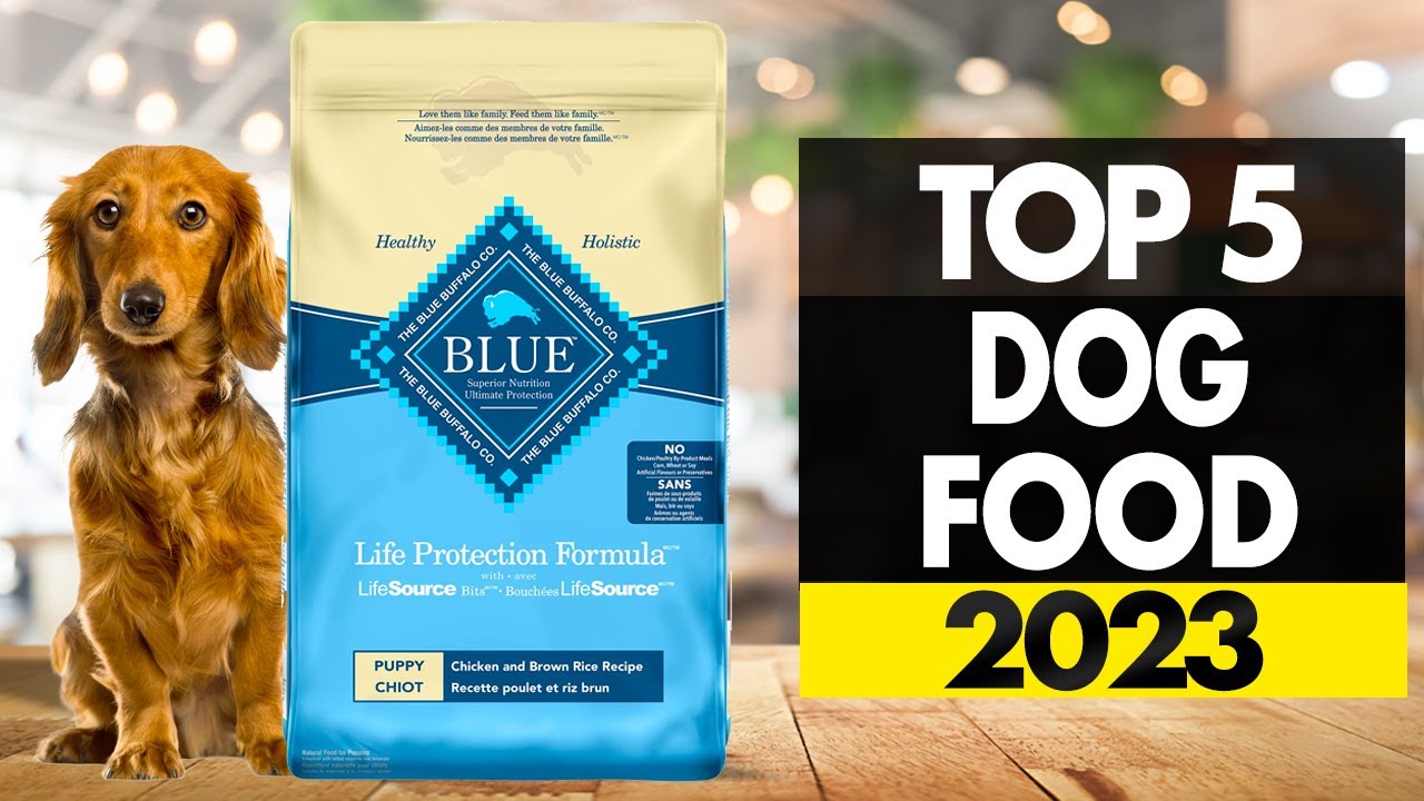 Top 5 Holistic Dog Foods 2023: Nourish Your Pup’s Happiness