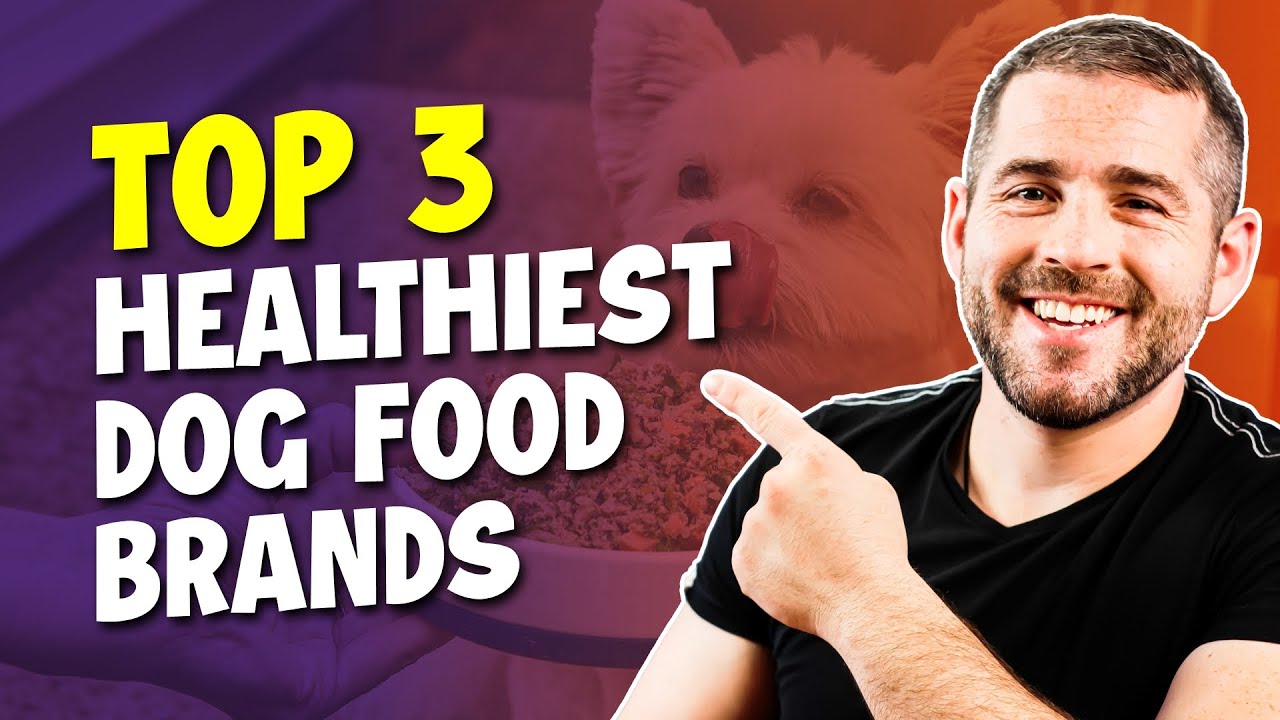 Unleash Wellness: Top 3 Healthy Dog Foods Ranked and Reviewed
